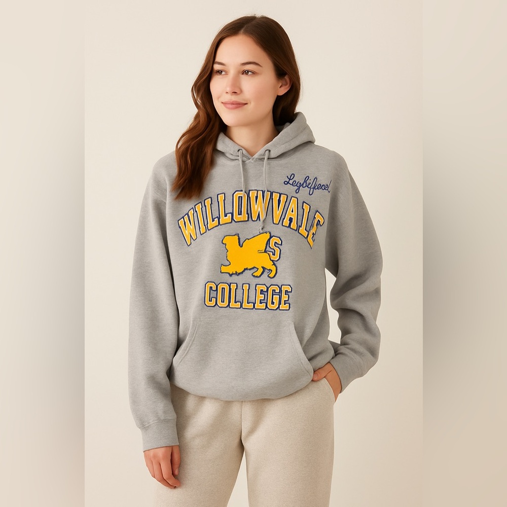 Disney Pixar Willowdale College Hoodie Lightfoot Gray Sweatshirt 2XL